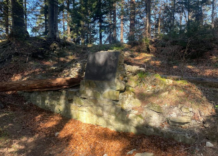 Ruine Hochaltstätten, Switzerland